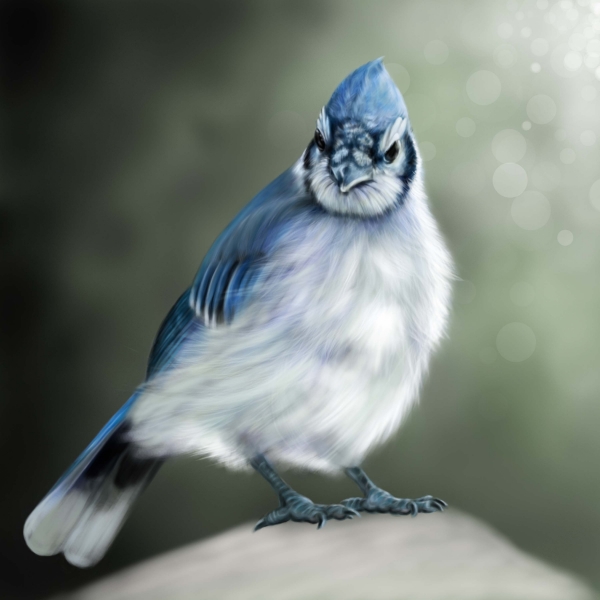 Creation of Little blue bird: Step 12